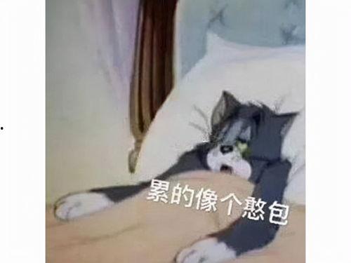 网红吃瓜老太太是谁啊,揭秘网红“吃瓜老太太”的真实身份  第3张